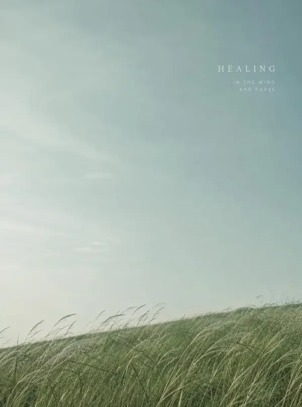 跟着风呼吸（治愈专区）详情页封面海报，合辑 · 十分钟一次深呼吸
