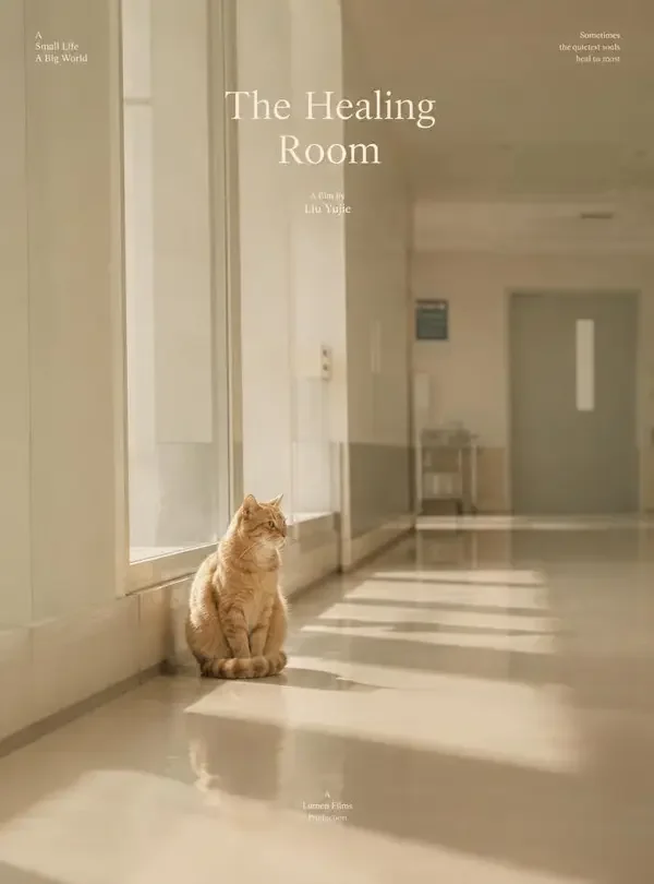 医院里的橘猫（豆花首映）封面海报，走廊尽头有人陪